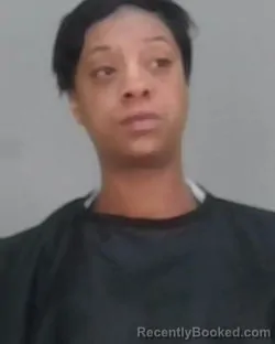 Mugshot of DANIELLE YVETTE LYNN IRVINE booked in Summit County, Ohio on March 11, 2026