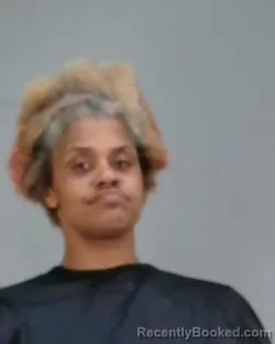 Mugshot of ASHLEY MARIE SILVA booked in Summit County, Ohio on April 2, 2026