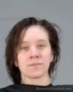 Mugshot of MORGAN MARIE SAHADY booked in Summit County, Ohio on April 1, 2026