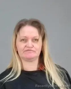 Mugshot of ERIN ANGELIQUE HESS