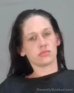 Mugshot of ASHLEY L JOHNSON booked in Summit County, Ohio on March 12, 2026