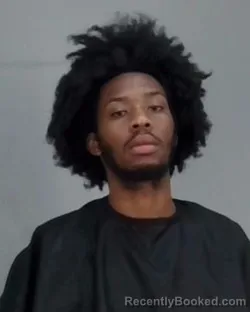 Mugshot of JAYDEN TYLER PERKINS