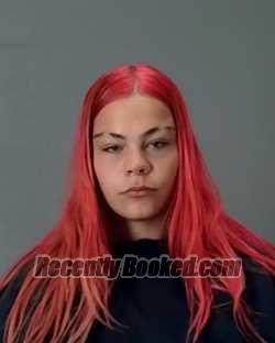 Booking photo from Summit County, Ohio