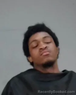 Mugshot of XAVIER ALEXANDER WILKINS