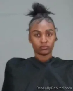 Mugshot of ANDREA ROBERTA BROCK booked in Summit County, Ohio on March 24, 2026