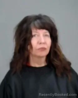 Mugshot of LISA M THOMAS booked in Summit County, Ohio on April 3, 2026