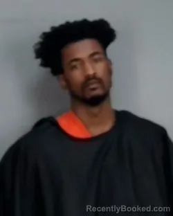 Mugshot of DEMONTE DAVION WILLIAMS booked in Summit County, Ohio on April 3, 2026