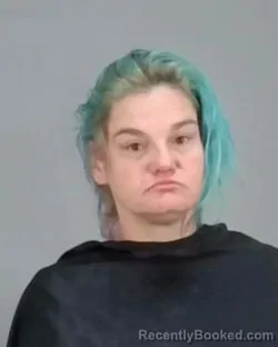 Mugshot of SONYA LYNN MCGHEE