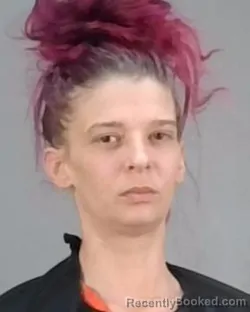 Mugshot of MEGAN ANN MAEREAN