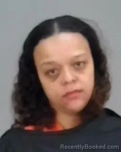 Mugshot of SHONTEL PORSHA HILL booked in Summit County, Ohio on March 18, 2026