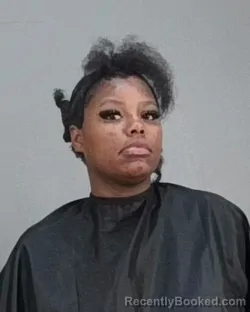 Mugshot of ALILLIYYANNA ROCHELLE BROWN booked in Summit County, Ohio on May 9, 2026