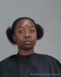 Mugshot of ARIANA INDIA WILLIAMS booked in Summit County, Ohio on March 18, 2026