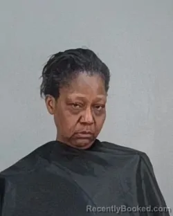 Mugshot of SHANTE DENISE FULTON booked in Summit County, Ohio on May 10, 2026