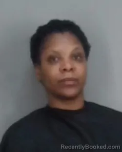 Mugshot of SAVANNAH RE JOHNSON booked in Summit County, Ohio on March 11, 2026