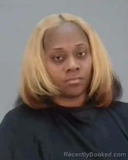 Mugshot of SHATOURA MARIE HOLLOMAN-BIBBS