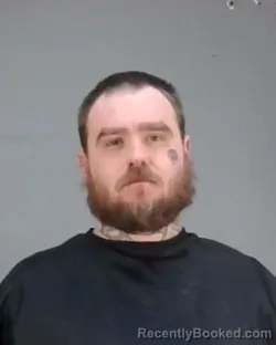 Mugshot of LANE ALAN BOYD