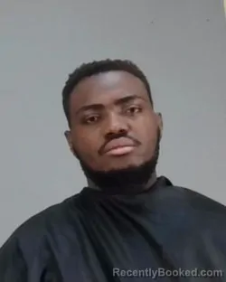 Mugshot of NYANGE MAULIDI