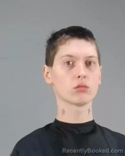 Mugshot of JOHN ANTHONY KACZYNSKI