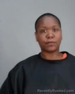 Mugshot of MELANIE ANN WADE booked in Summit County, Ohio on April 2, 2026