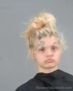 Mugshot of STORM ELIZABETH MCDONALD