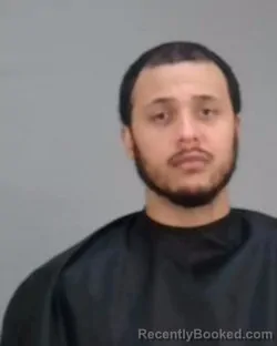 Mugshot of TROY LAVANE LOWE booked in Summit County, Ohio on March 18, 2026