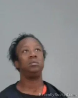 Mugshot of SHANTEL LAMEAN MARSHALL-RANDALL booked in Summit County, Ohio on March 18, 2026