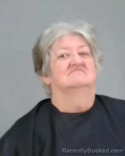 Mugshot of LONNA S RECTOR booked in Summit County, Ohio on March 19, 2026