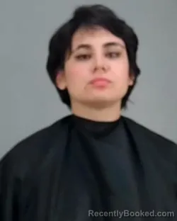 Mugshot of HANNEH JANE HOPE-TAOGOSHI booked in Summit County, Ohio on March 22, 2026