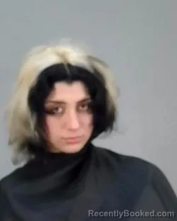 Mugshot of MAKAYLA MARIE ROSE HENSON booked in Summit County, Ohio on March 24, 2026