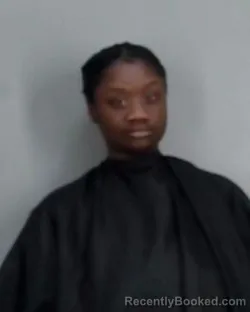 Mugshot of GLORY MARIE PHILLIPS booked in Summit County, Ohio on March 27, 2026