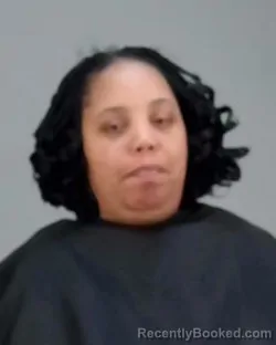 Mugshot of TONNYE OCTAVIA GAINES booked in Summit County, Ohio on March 27, 2026