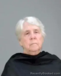 Mugshot of HELEN KYLE FRYBERGER booked in Summit County, Ohio on March 28, 2026