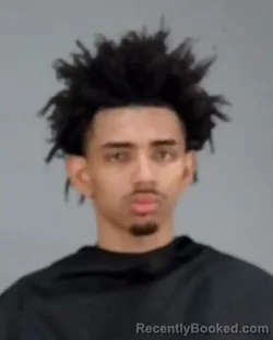 Booking photo from Summit County, Ohio