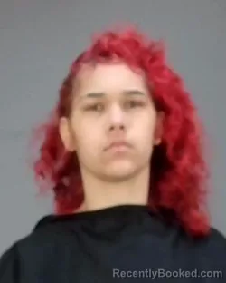 Mugshot of LA'NYA CHARMAINE WILLIAMS booked in Summit County, Ohio on March 29, 2026