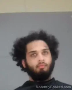 Mugshot of D'ANGELO BARDELL booked in Summit County, Ohio on March 30, 2026