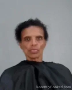 Mugshot of BRANDY MARIE HOOD booked in Summit County, Ohio on April 2, 2026