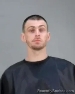 Mugshot of DOMINICK LEIGH HENDERSON booked in Summit County, Ohio on April 4, 2026