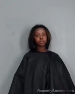 Mugshot of ASEANTE AYERS booked in Summit County, Ohio on April 16, 2026