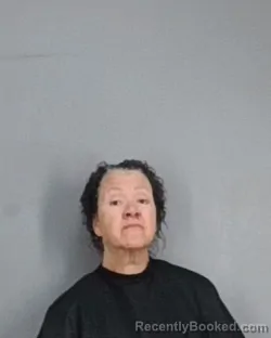 Mugshot of FAYE MICHELE GOGGINS booked in Summit County, Ohio on May 1, 2026