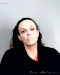 Mugshot of Desiree Marie Laurenzi Wilson booked in Summit County, Ohio on August 9, 2026