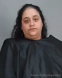 Mugshot of Erica Marie Collado booked in Summit County, Ohio on August 15, 2026