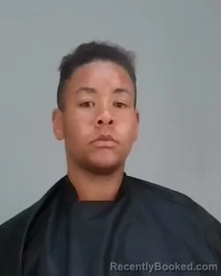 Mugshot of Domonique Mauricia Harris booked in Summit County, Ohio on October 27, 2026