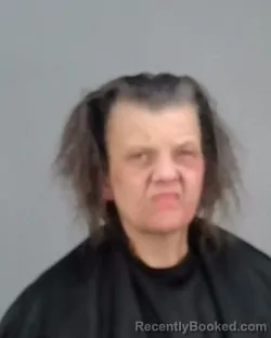 Mugshot of LISA MARIE SMITH booked in Summit County, Ohio on March 20, 2026