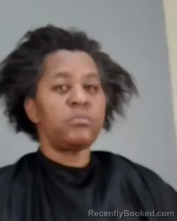 Mugshot of CHAUCA DENISE SENTER booked in Summit County, Ohio on March 31, 2026