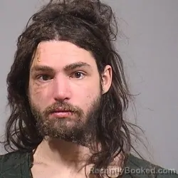 Mugshot of JONATHAN MICHAEL WILLIAMS