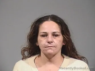 Mugshot of LISA ANN HERCZEG