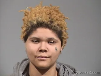 Mugshot of IYANA STORM BARLOW
