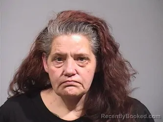 Mugshot of KELLY CHRISTINE RYAN