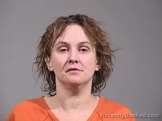 Mugshot of SHANEIL ANNE WELTCH