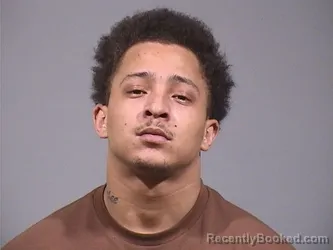 Mugshot of RONNDLE LEE JR LIGHTNING